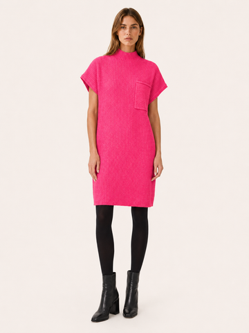 Elarwyn | Sweater Dress with Short Sleeves and High Neck